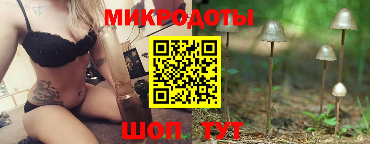 Галлюциногенные грибы Cubensis  Вход с VPN  Славянск-на-Кубани  Псилоцибиновые грибы GOLDEN TEACHER 