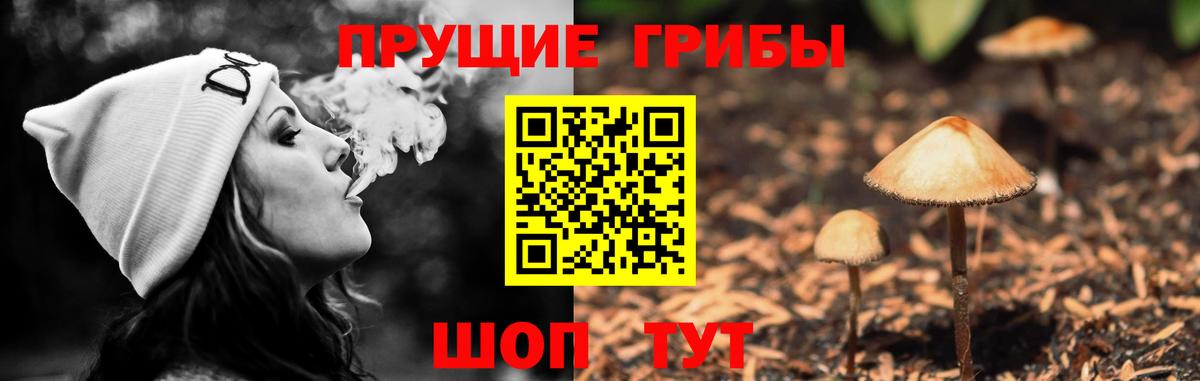 Псилоцибиновые грибы мухоморы Славянск-на-Кубани